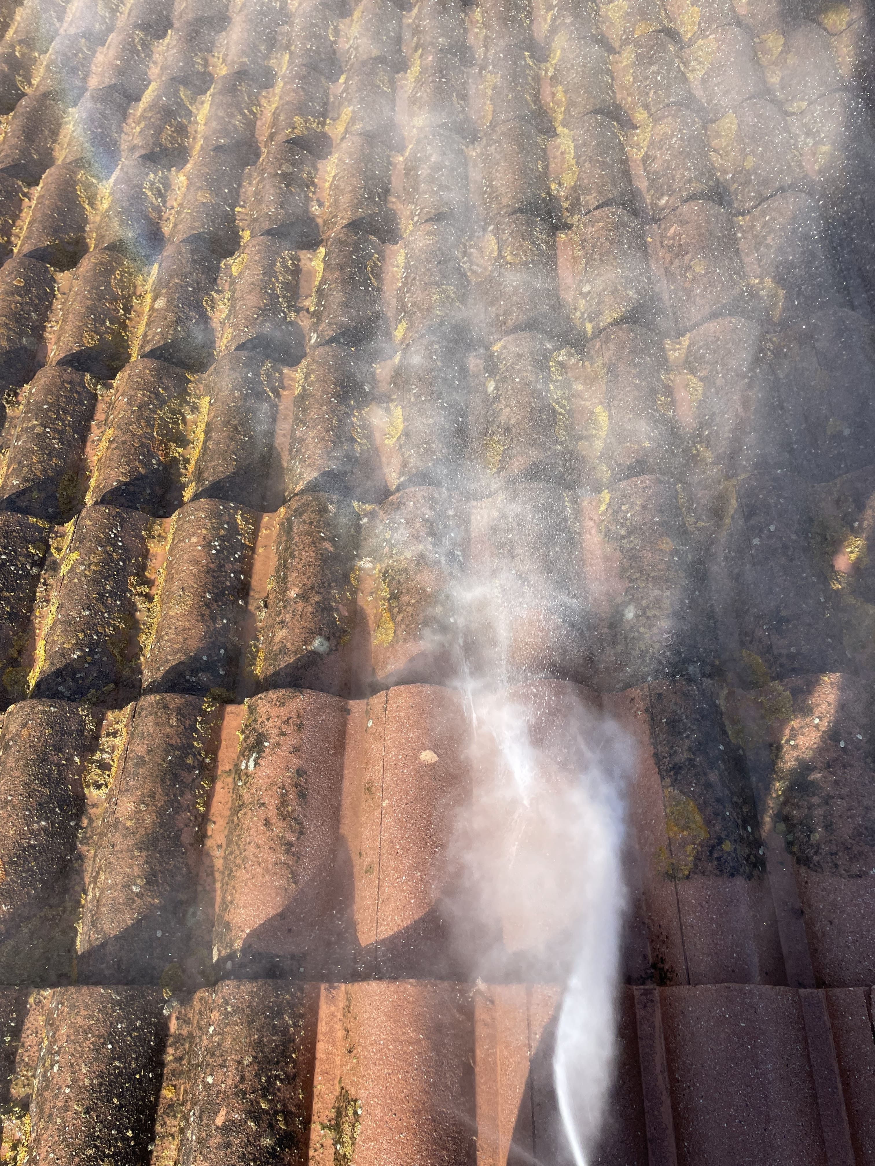 Jet d’eau sur des tuiles canal couvertes de mousse pendant un démoussage