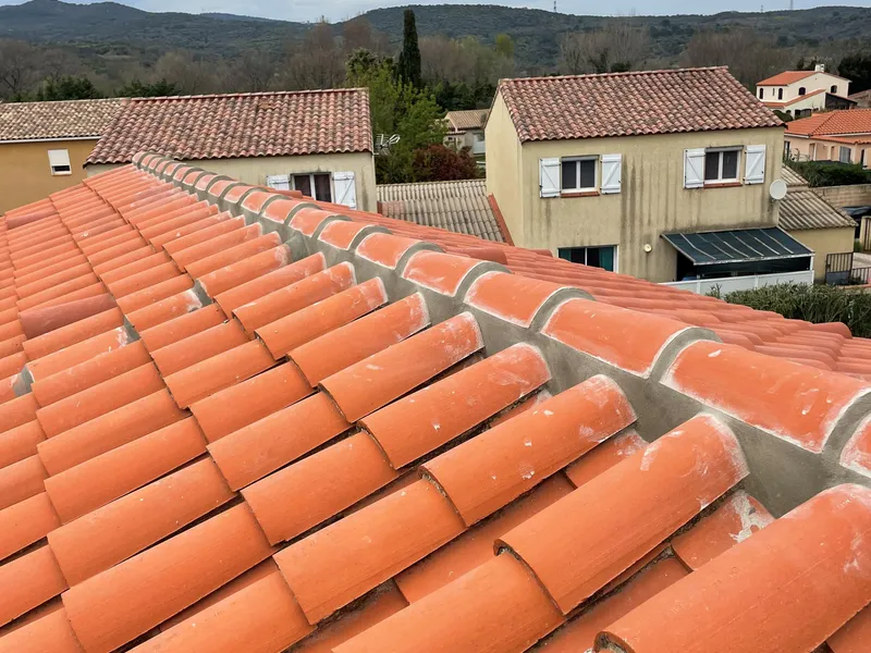 Toiture en tuiles canal et son faîtage scellé au mortier, maisons voisines en arrière-plan